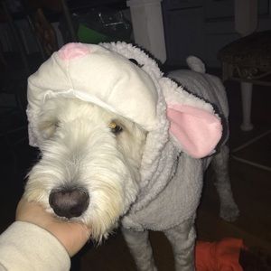 Meet your Posher, Mariah